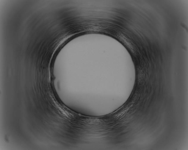 X0000097490940200803201528