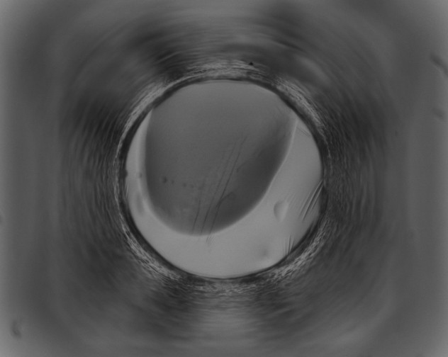 X0000097490941200803201528