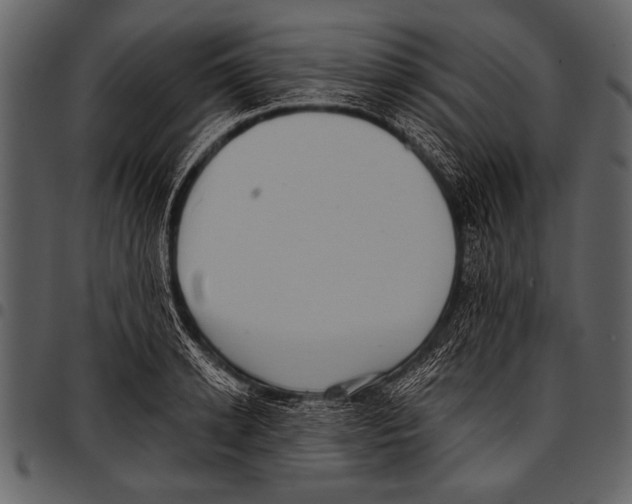 X0000097490942200803201528