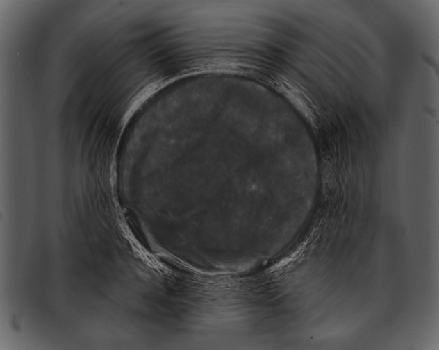 X0000097490944200803201528