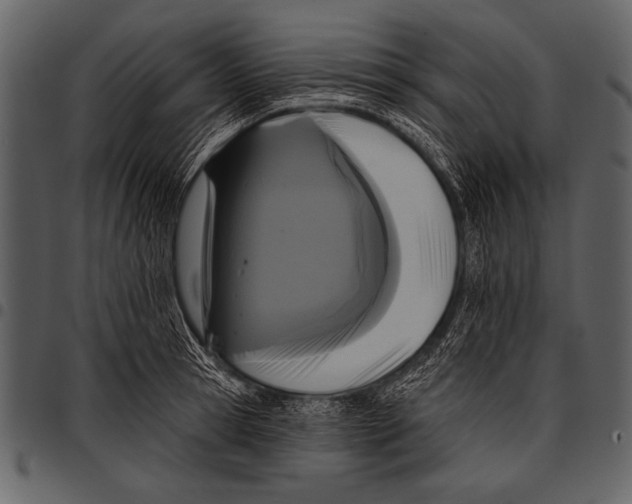 X0000097490945200803201528