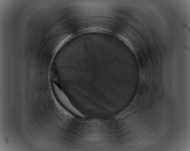 X0000097490946200803201528