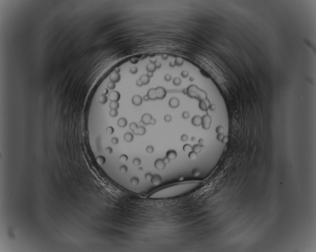 X0000097490948200803201528