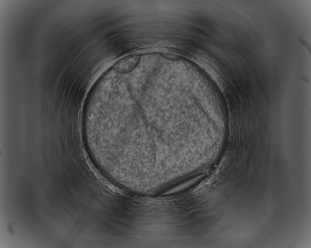 X0000097490949200803201528