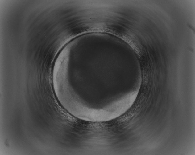 X0000097490950200803201528