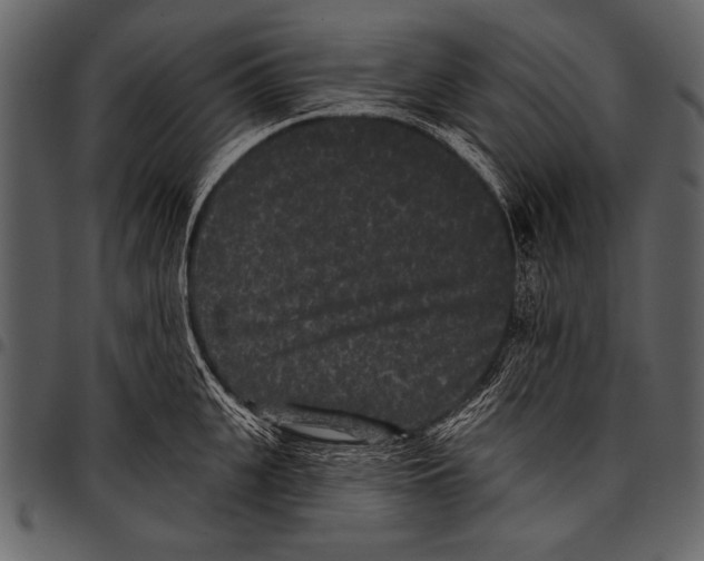 X0000097490951200803201528