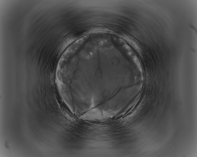 X0000097490953200803201528