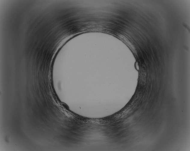 X0000097490956200803201528