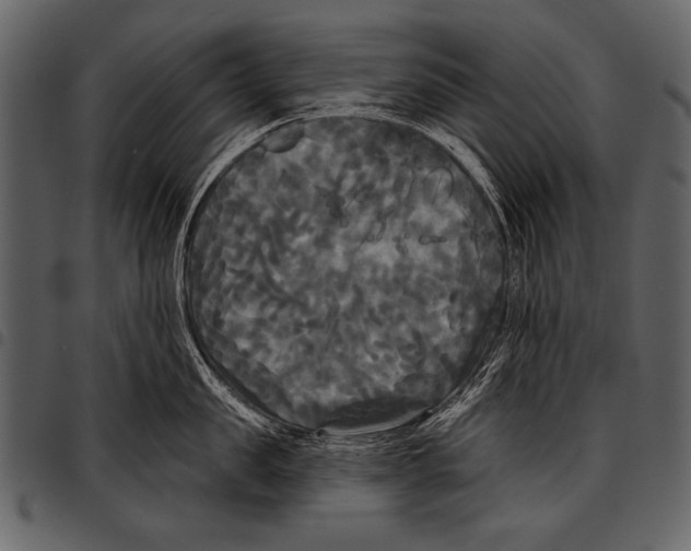 X0000097490957200803201528