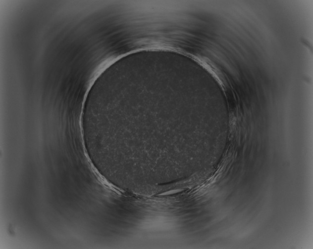 X0000097490959200803201528