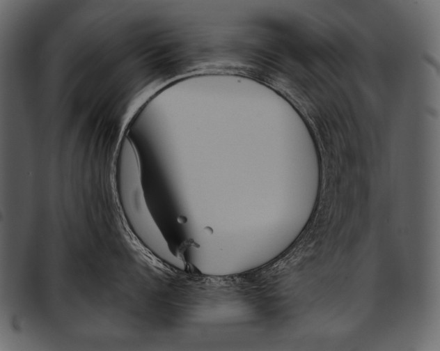 X0000097490960200803201528