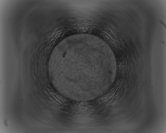 X0000097490961200803201527