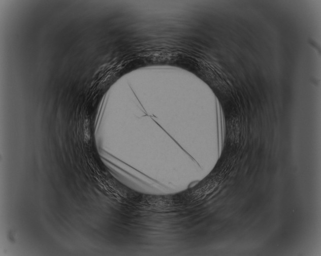 X0000097490962200803201527