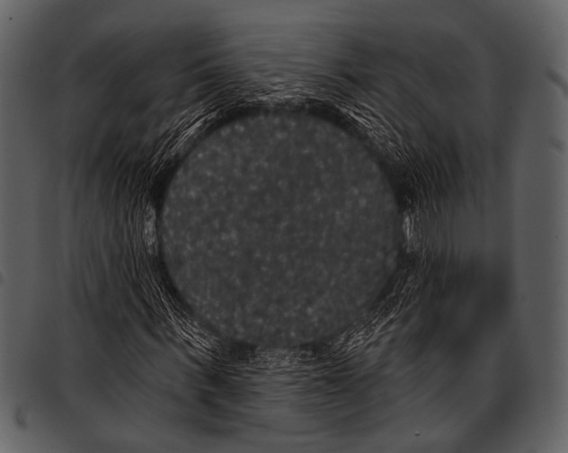 X0000097490963200803201527