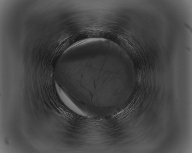 X0000097490964200803201527