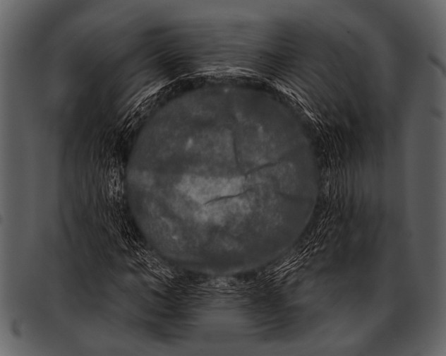 X0000097490966200803201527