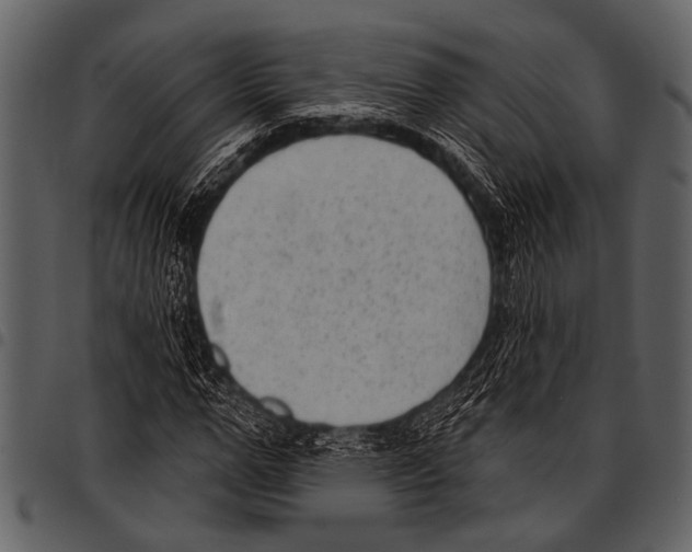 X0000097490967200803201527