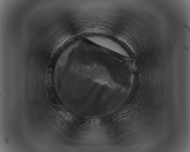 X0000097490968200803201527