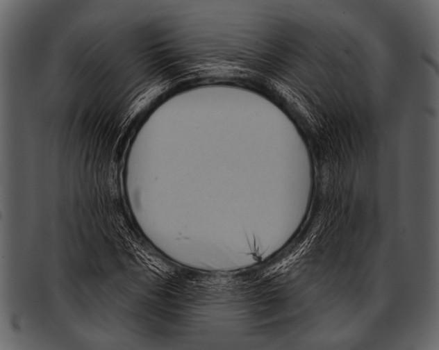 X0000097490970200803201527