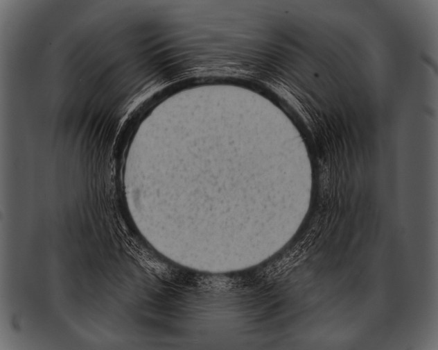 X0000097490971200803201527