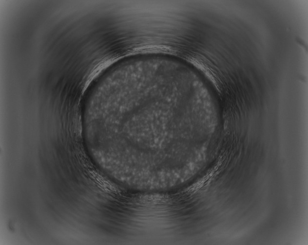 X0000097490973200803201527