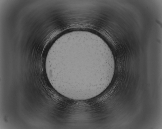 X0000097490974200803201527