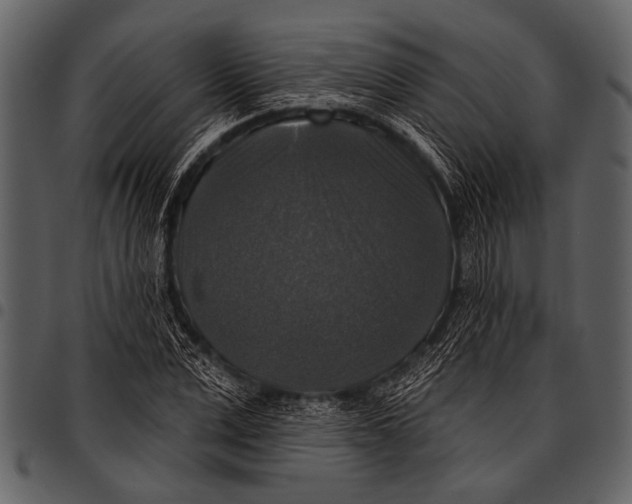 X0000097490975200803201527