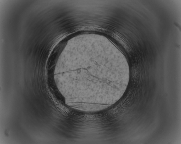 X0000097490976200803201527