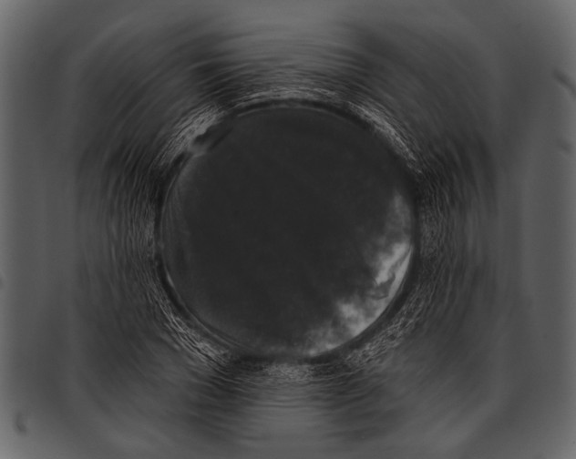 X0000097490977200803201527