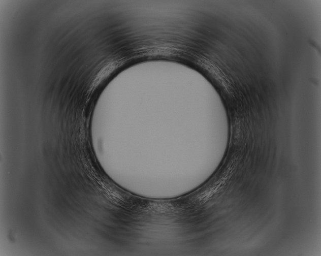 X0000097490978200803201527