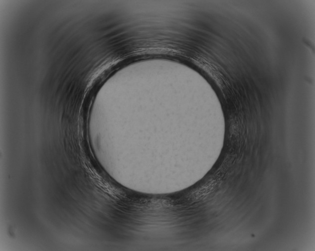 X0000097490979200803201527