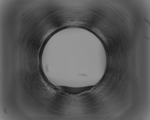 X0000097490980200803201527