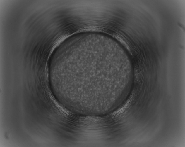 X0000097490981200803201527