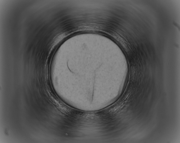 X0000097490982200803201527