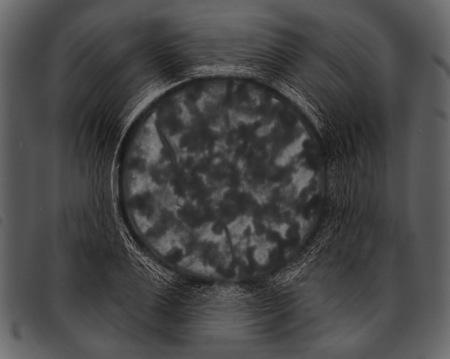 X0000097490983200803201527