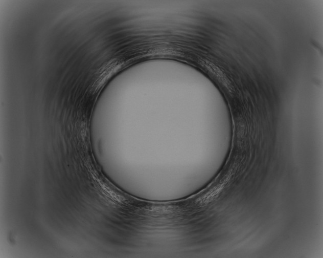 X0000097490985200803201527