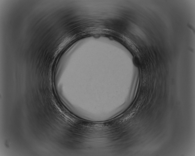 X0000097490986200803201527