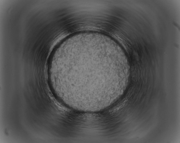 X0000097490987200803201527