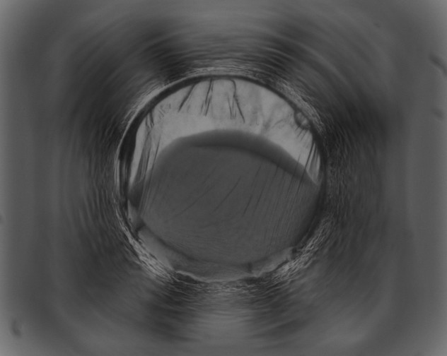 X0000097490988200803201527