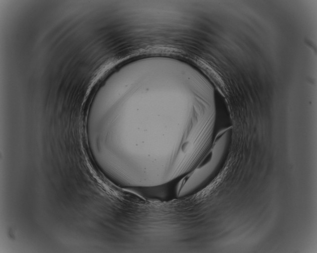 X0000097490989200803201527