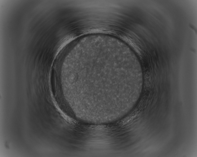 X0000097490991200803201527