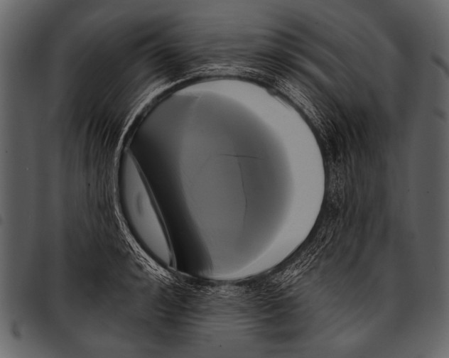 X0000097490992200803201527