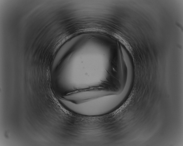 X0000097490993200803201527