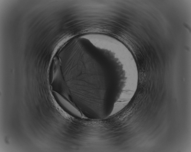 X0000097490995200803201527