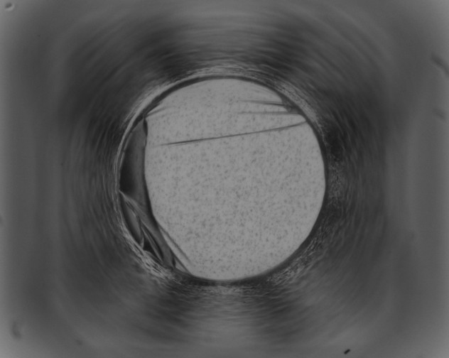 X0000097490996200803201527