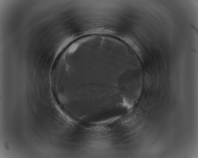 X0000097490998200803201527