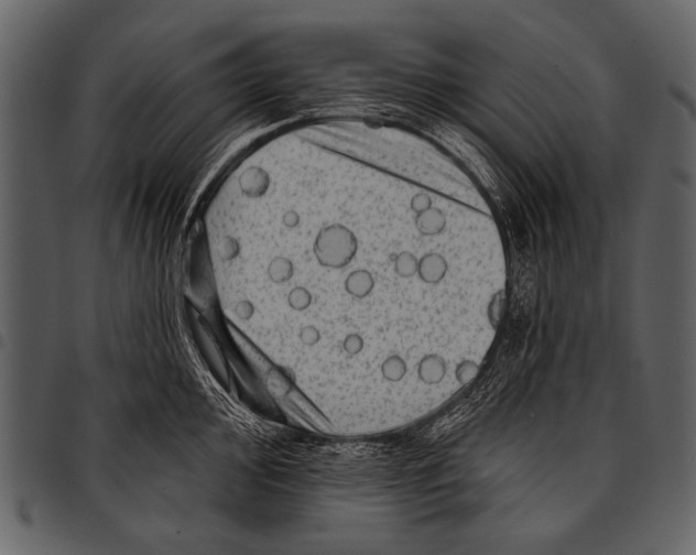 X0000097491000200803201527