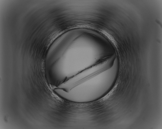 X0000097491001200803201527