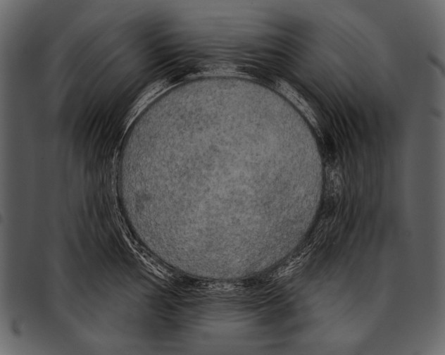 X0000097491002200803201527