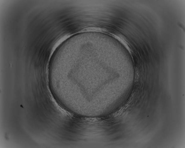 X0000097491003200803201527